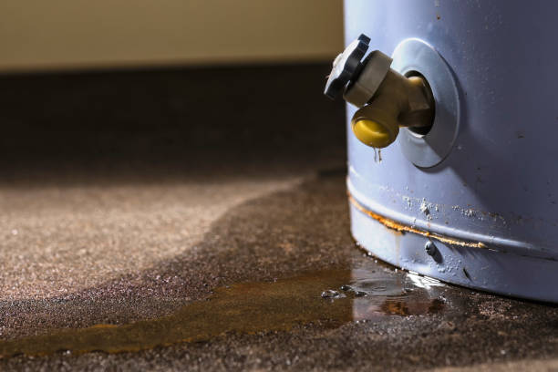 Best Local water damage restoration  in Mission Nyon, CA