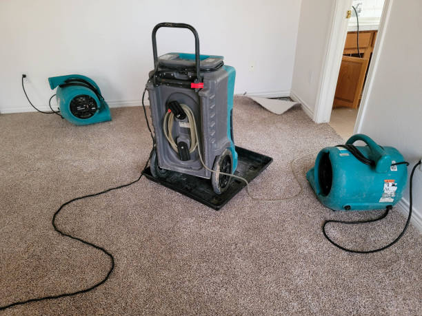 Best Water damage contractors near me  in Mission Nyon, CA