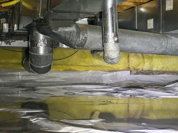 Best Sewage cleanup and water damage restoration  in Mission Nyon, CA
