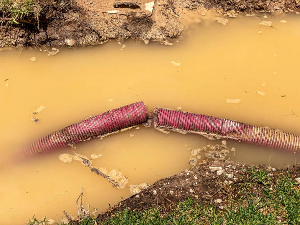 Best Flood restoration services  in Mission Nyon, CA
