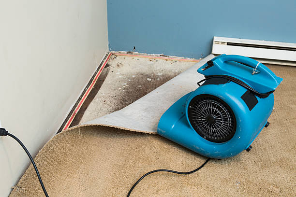 Best Flooded house restoration  in Mission Nyon, CA